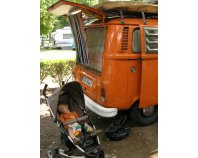 T2b Syro / Westfalia